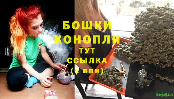 эйфоретик Белокуриха