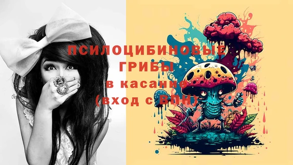 трава Богородицк