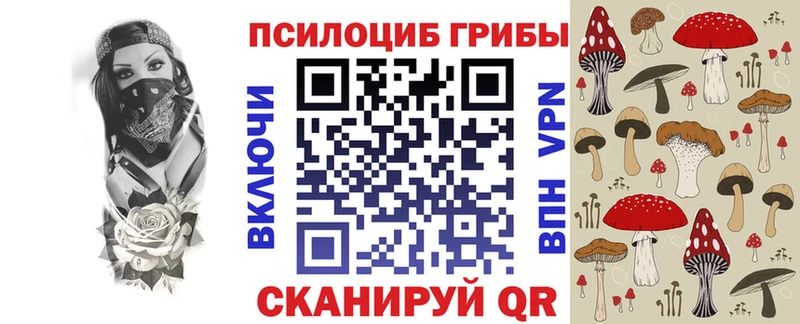 Галлюциногенные грибы Psilocybine cubensis  где продают   Велиж 